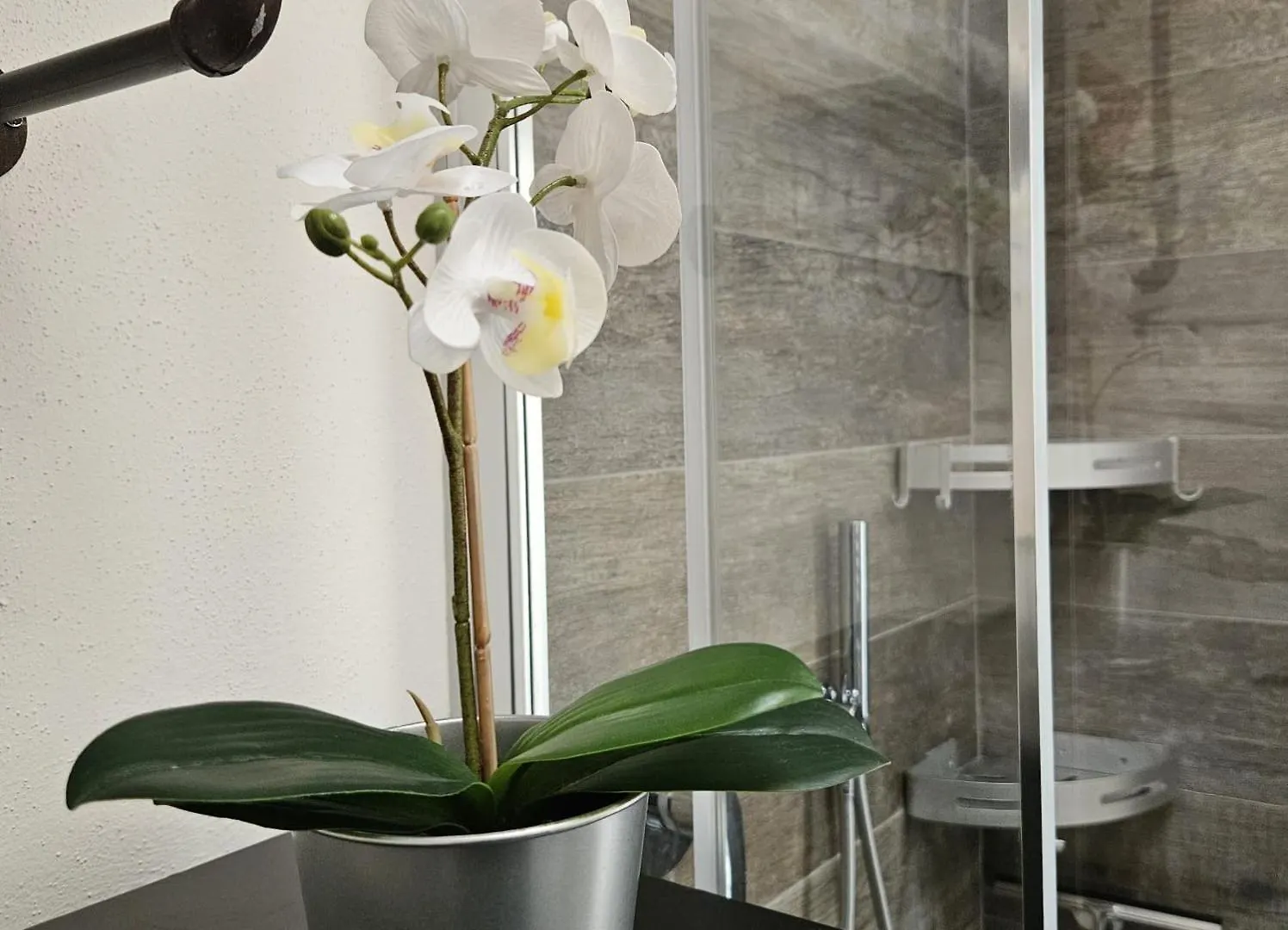 Como Lake Loft Industrial Lecco